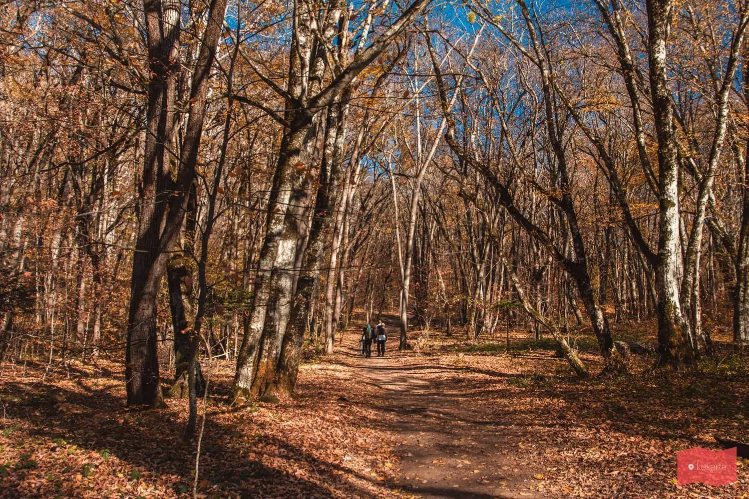 Ущелье Горло Соколово