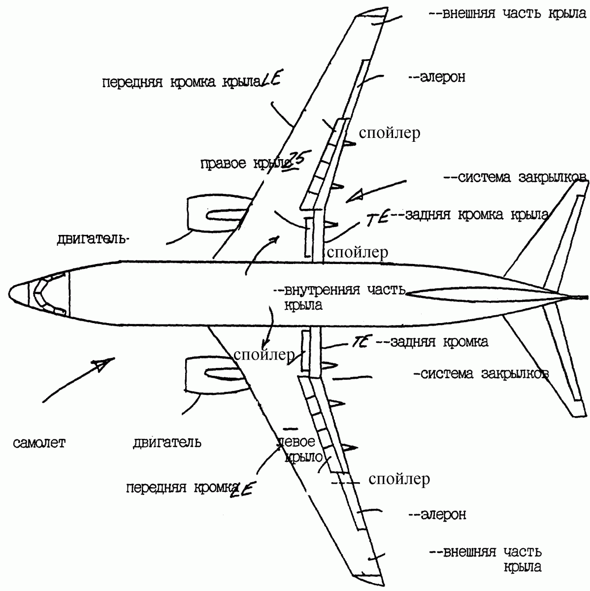 Как устроен самолет названия частей самолета