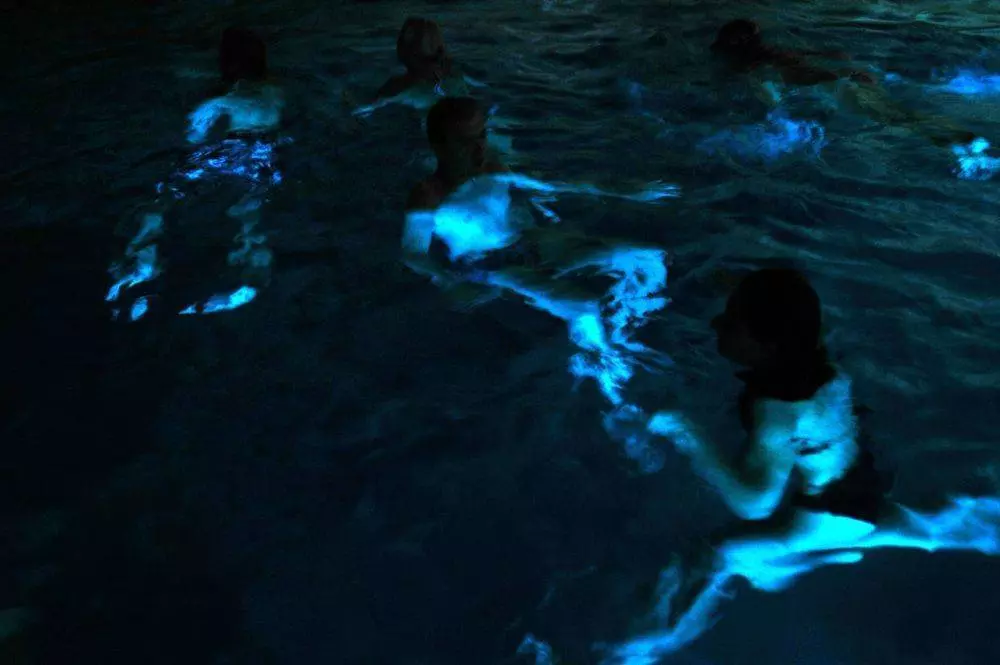 Рынок в Герцег-Нови