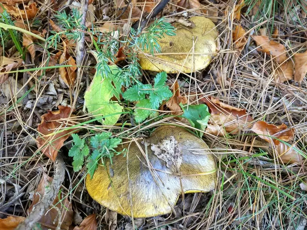 Погода в Черногории в сентябре