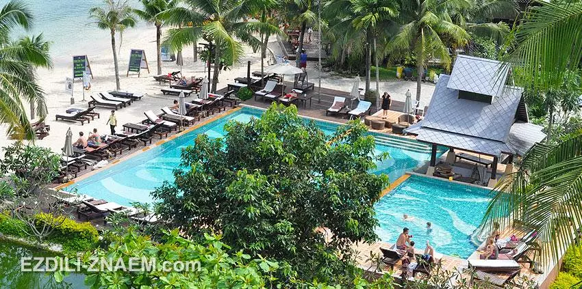 Какой авиакомпанией лучше лететь в Крым и Тайланд