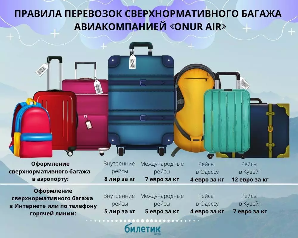 Правила перевозки багажа и ручной клади в турецких авиалиниях (turkish airlines)