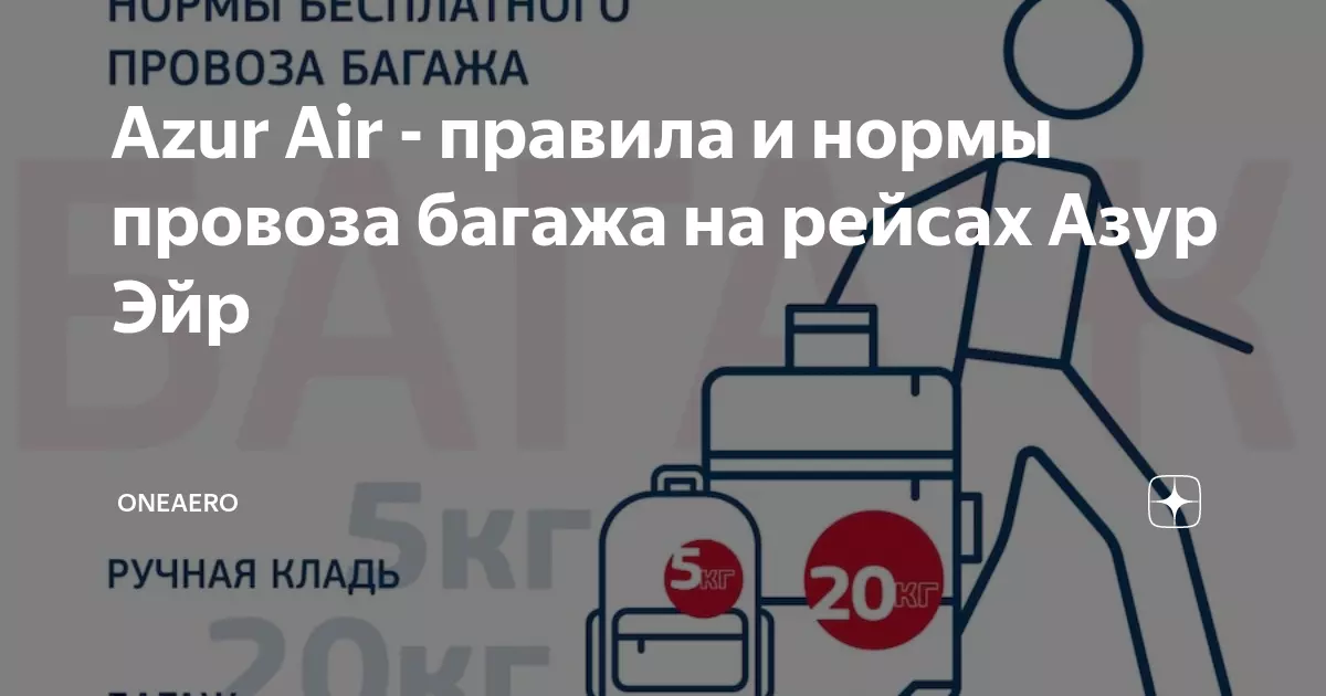 Правила перевозки багажа и ручной клади в авиакомпании wizzair