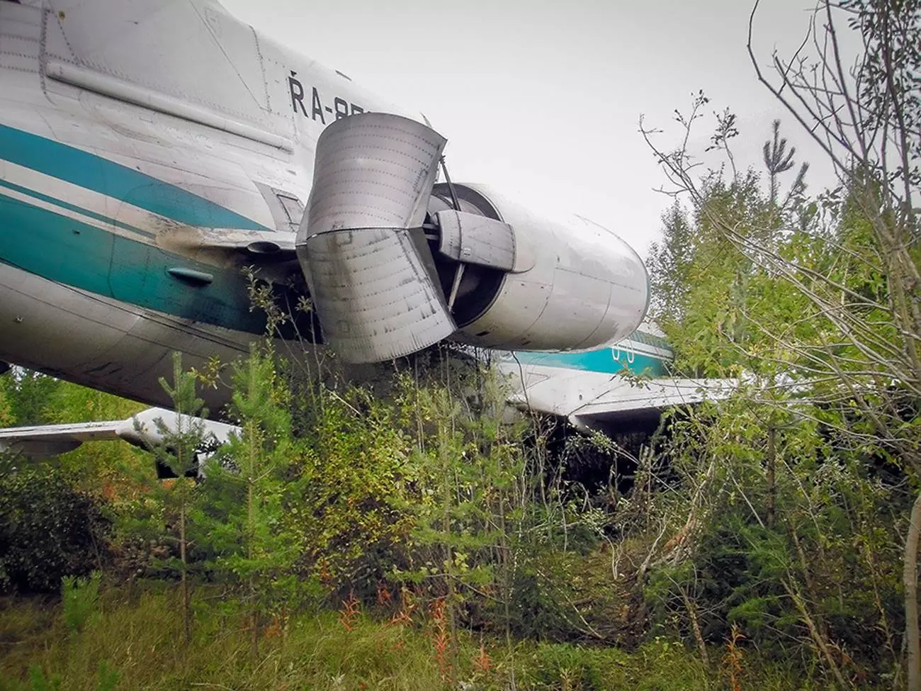 Аварийная посадка ту-154 в ижме вики