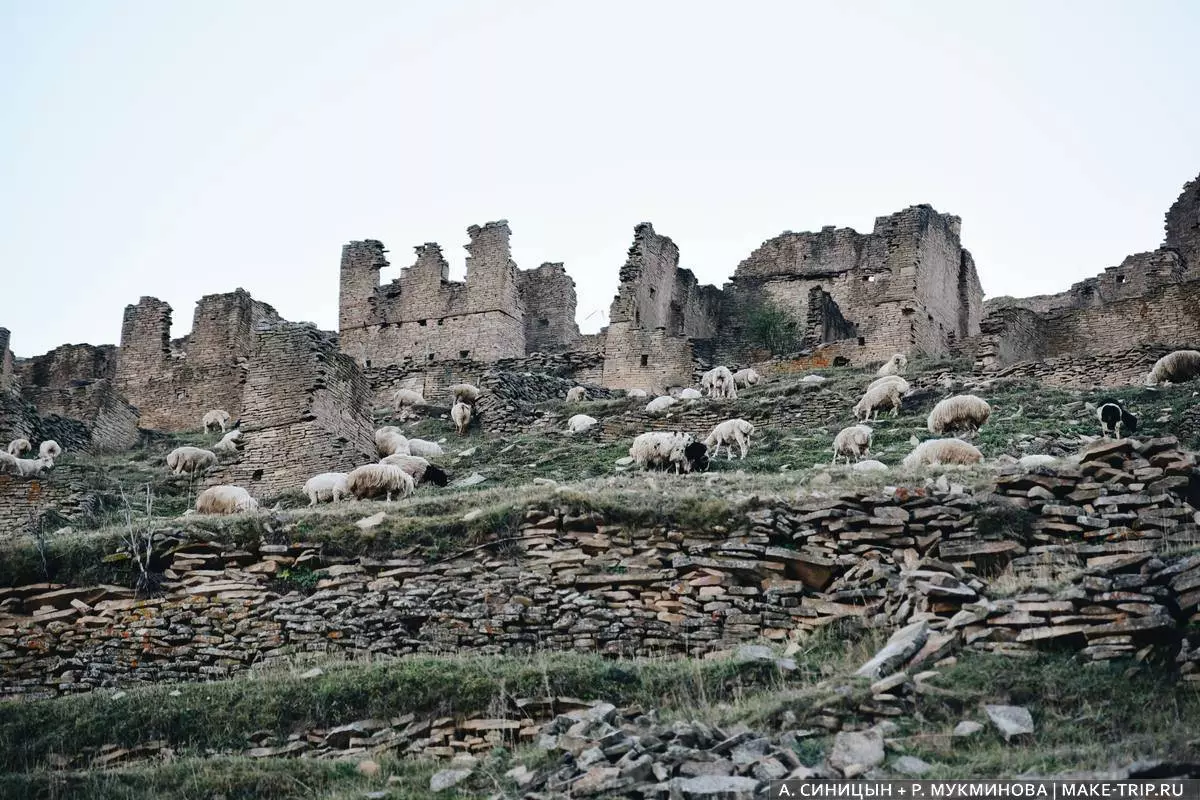 Что посмотреть в Дербенте за один день: главные достопримечательности