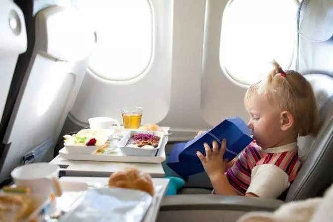 Можно ли провозить фрукты в ручной клади в самолете