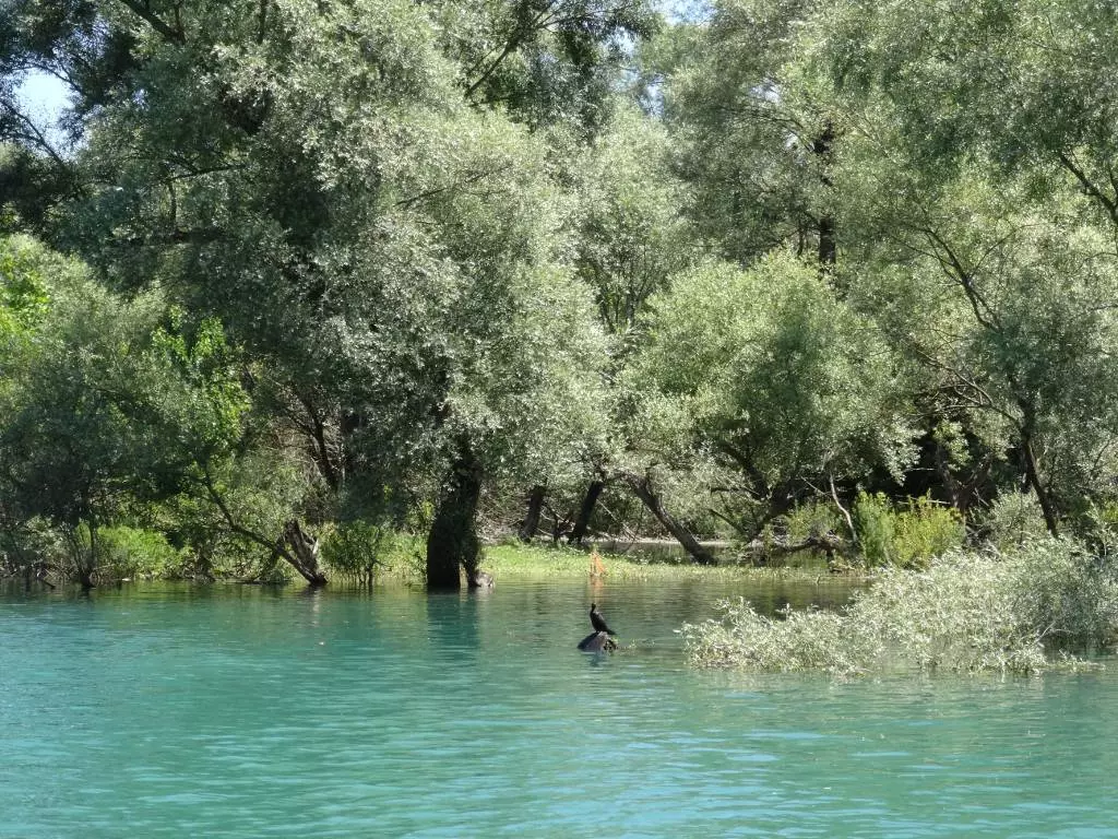 Форт Лесендро