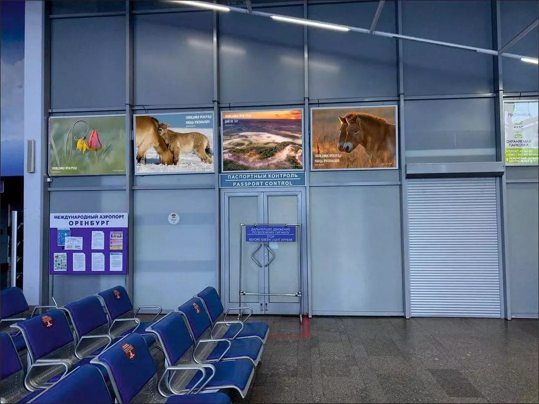 Аэропорт «оренбург центральный» (г. оренбург)