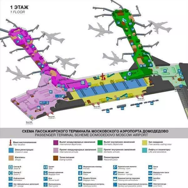 Терминалы аэропорта домодедово - какие нюансы надо знать