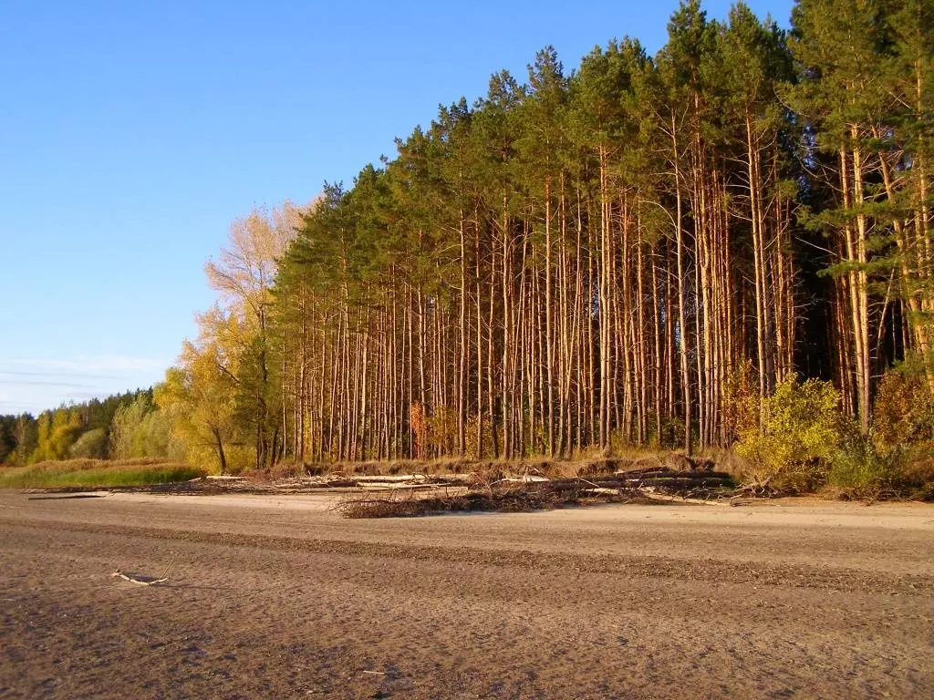 Куда съездить и что посмотреть в Самарской области