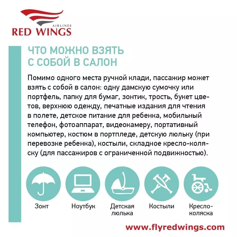 Багаж и ручная кладь в red wings — размеры, вес, доплаты