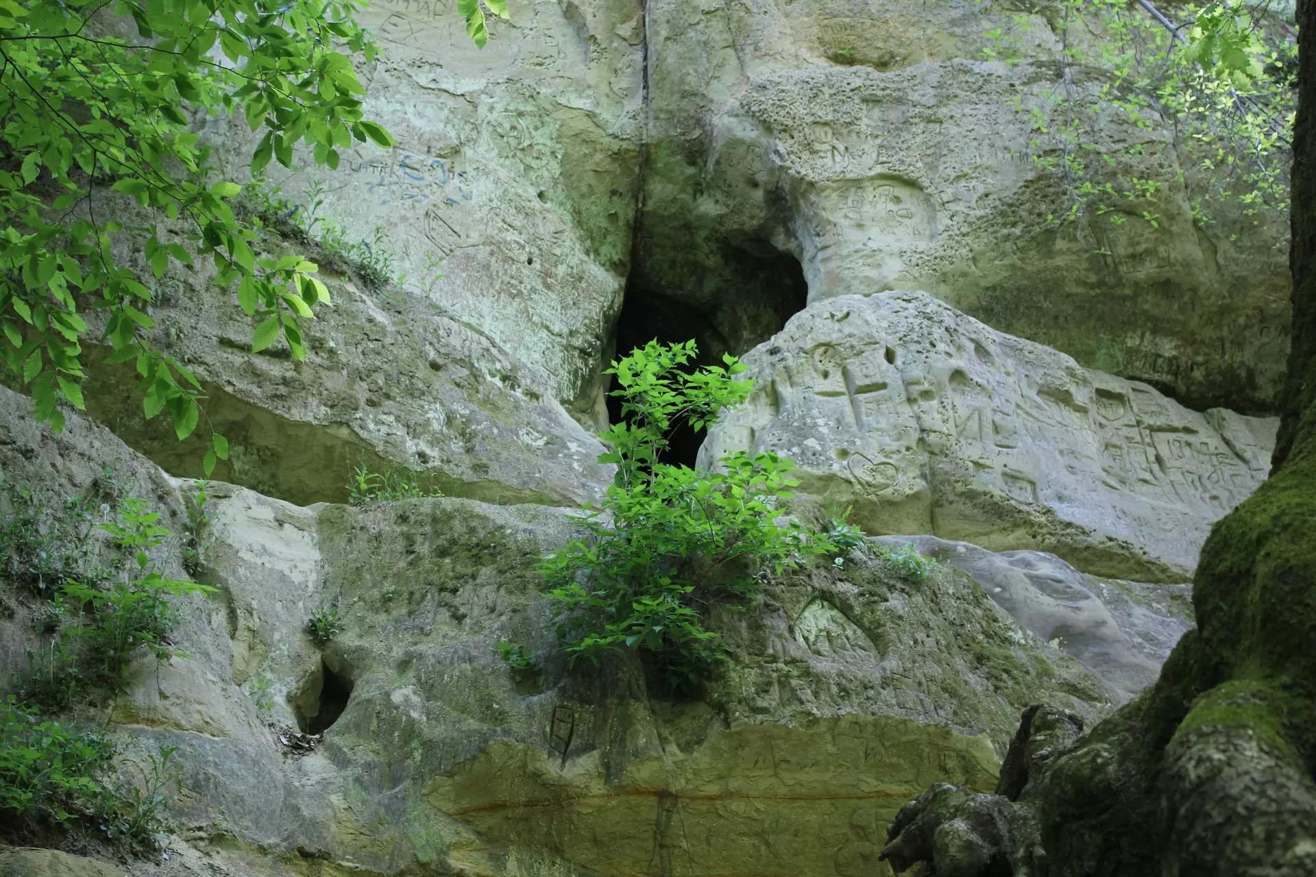 Богатырские пещеры – горячий ключ: фото, как добраться, маршруты