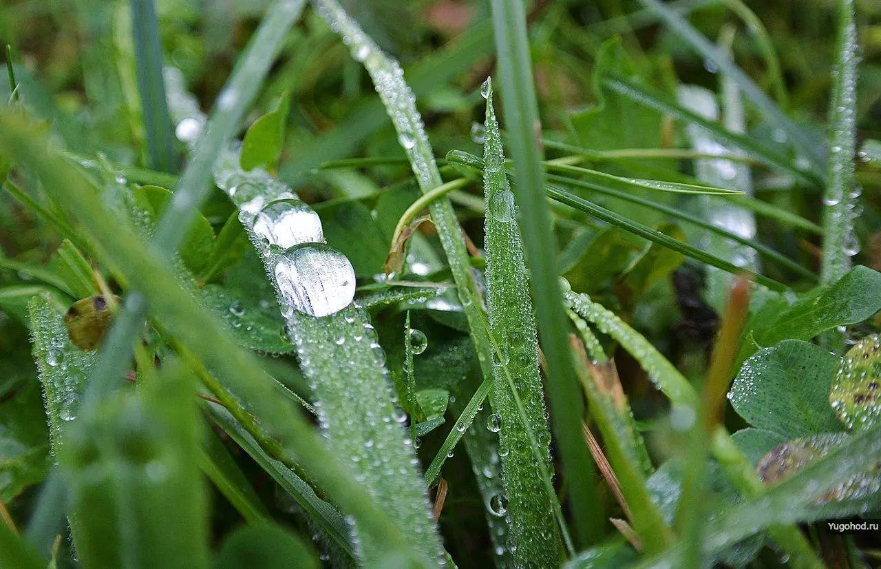 Ущелье Горло Соколово