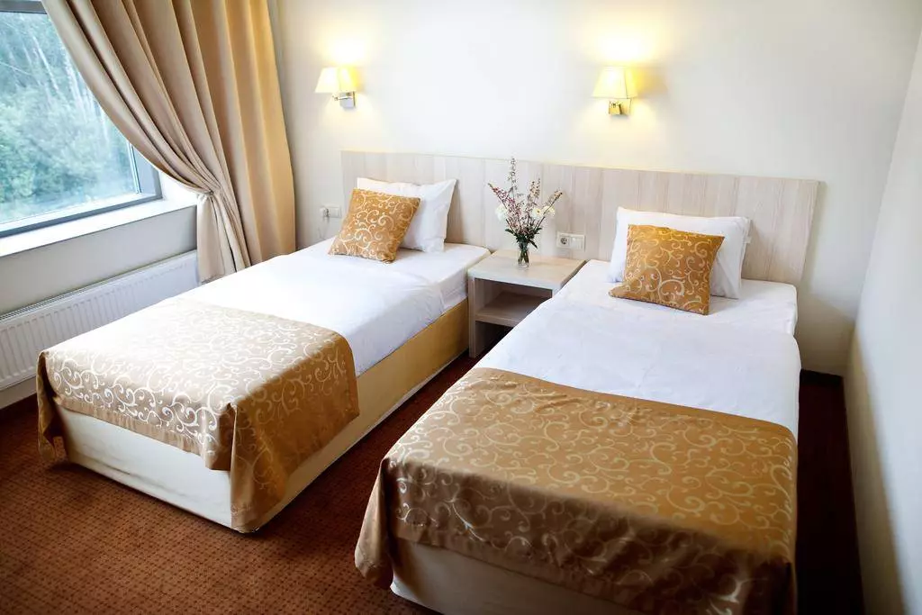 Аэропорт «Шереметьево»: гостиницы и отели, расположенные рядом