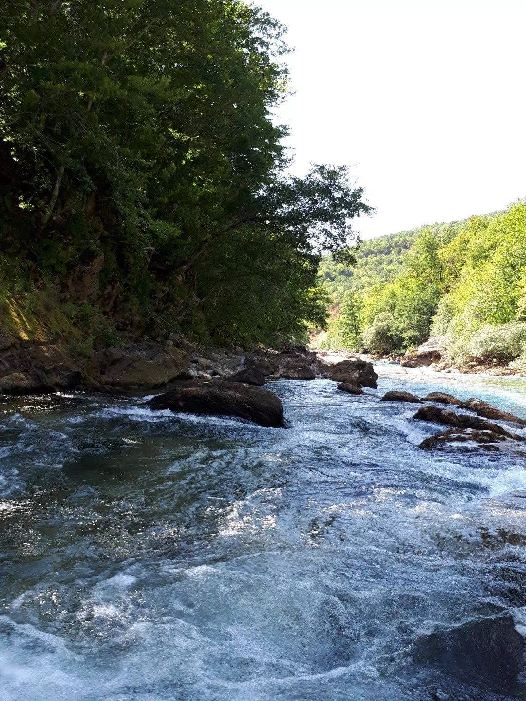 Рафтинг в Черногории на реке Тара