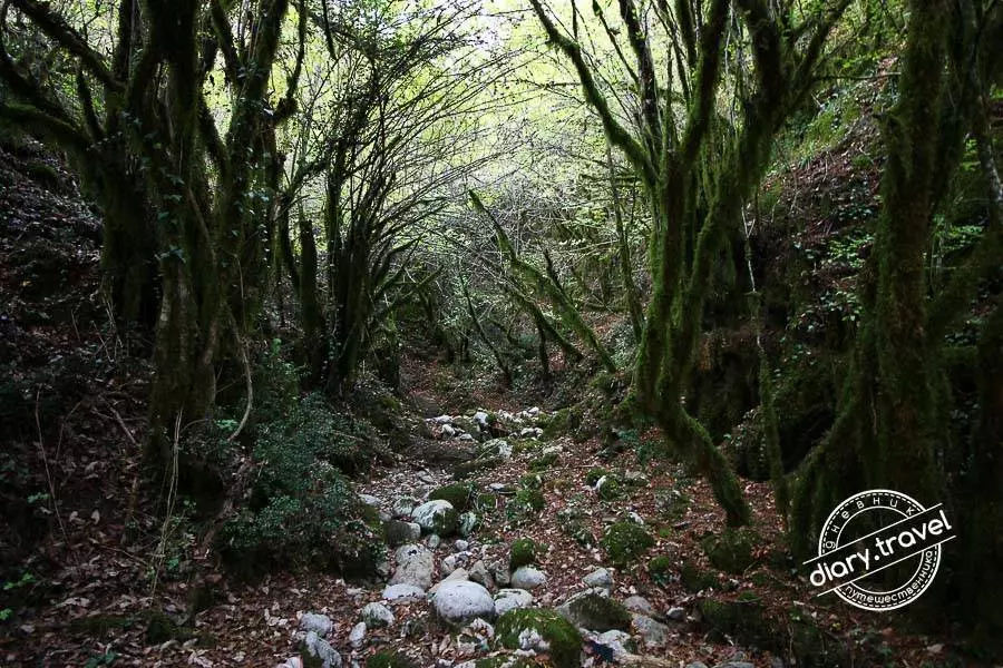 Куда съездить из Будвы