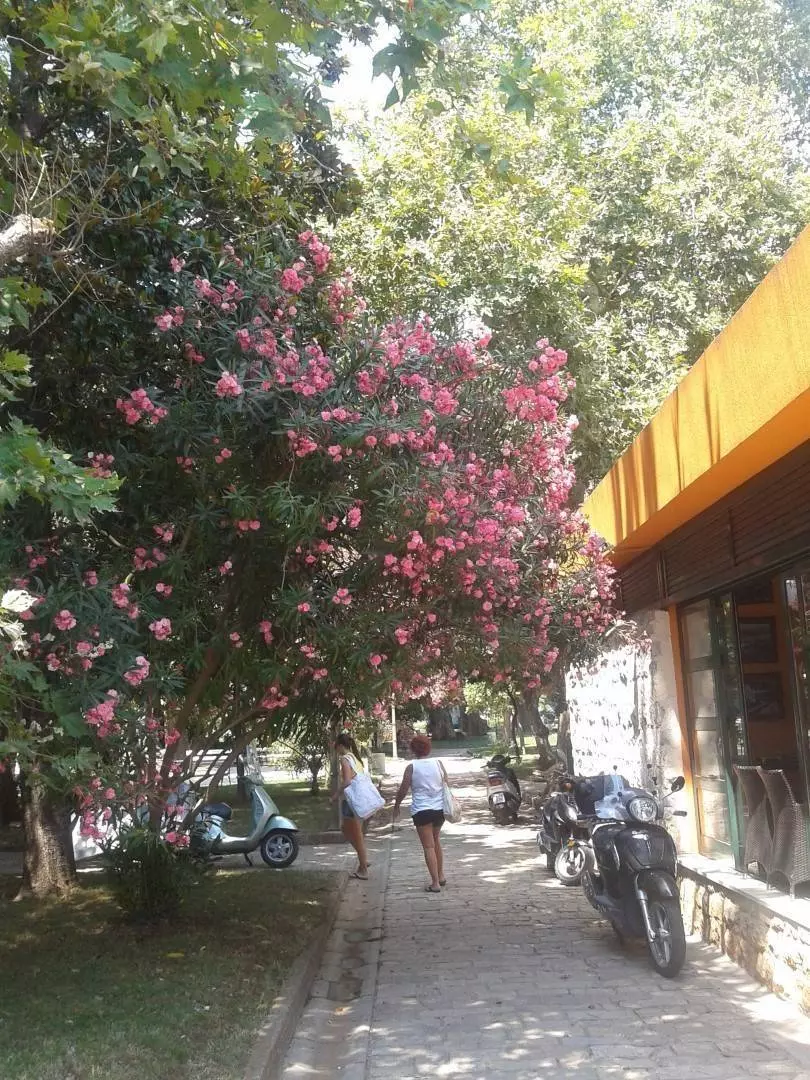 Климат Черногории