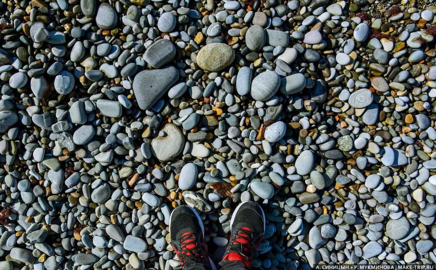 Куда сходить и что обязательно посмотреть в Лазаревском с детьми и без них