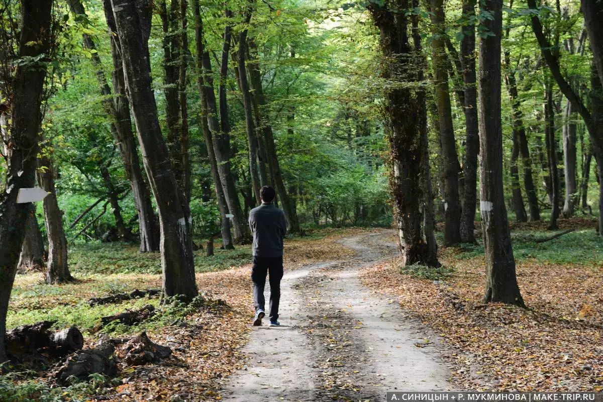 Что посмотреть в Дербенте за один день: главные достопримечательности