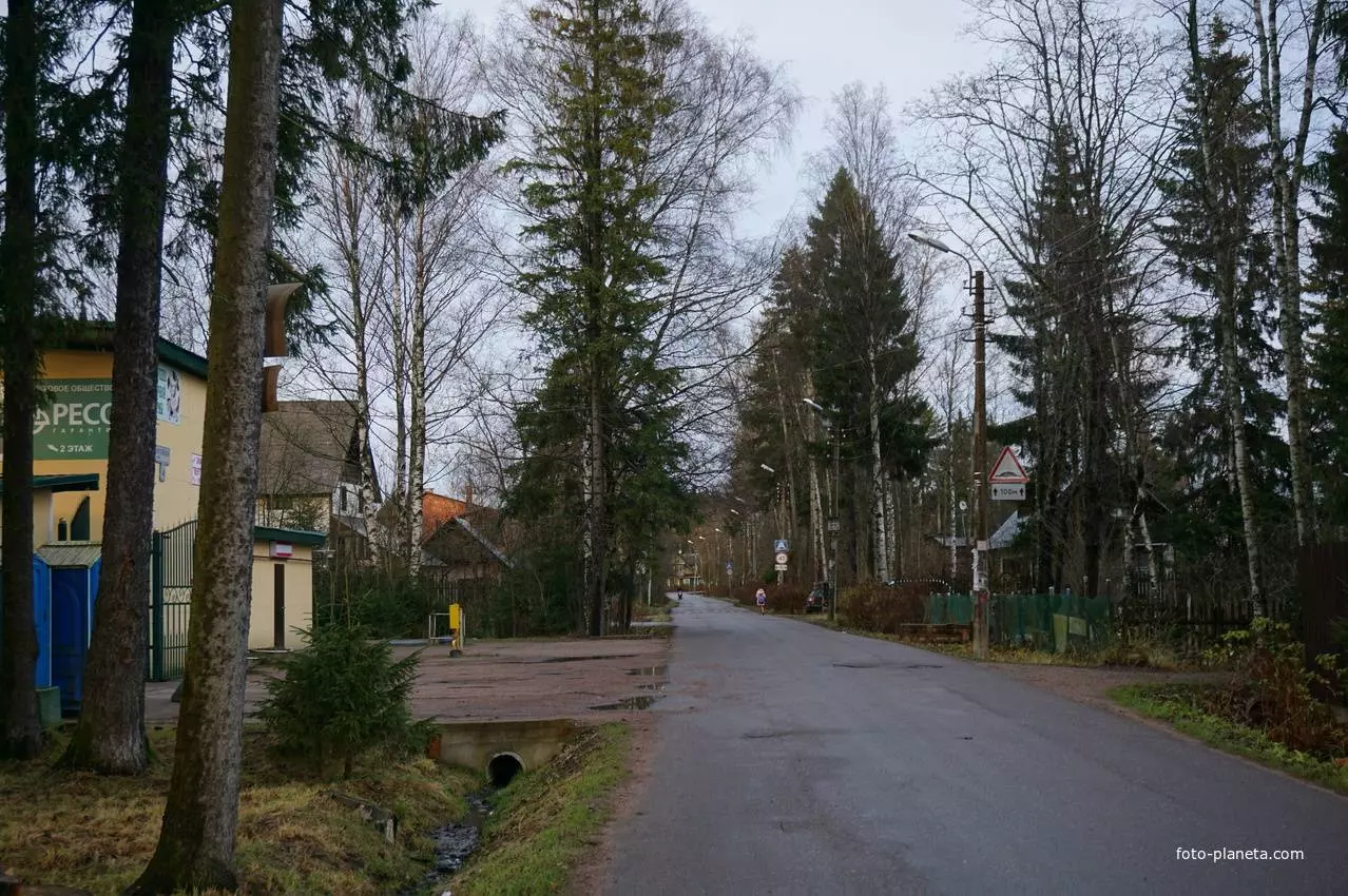 Чем известен курортный городок зеленогорск в ленинградской области