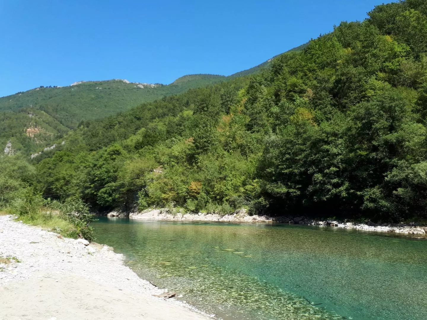 Рафтинг в Черногории на реке Тара