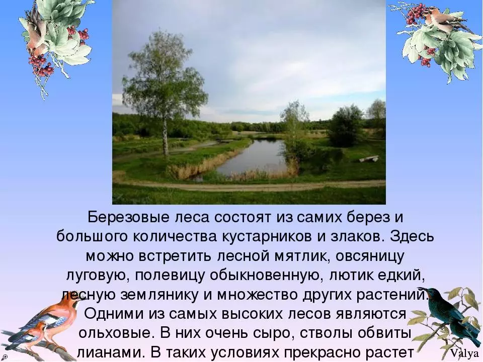 Курская область: информация для туриста