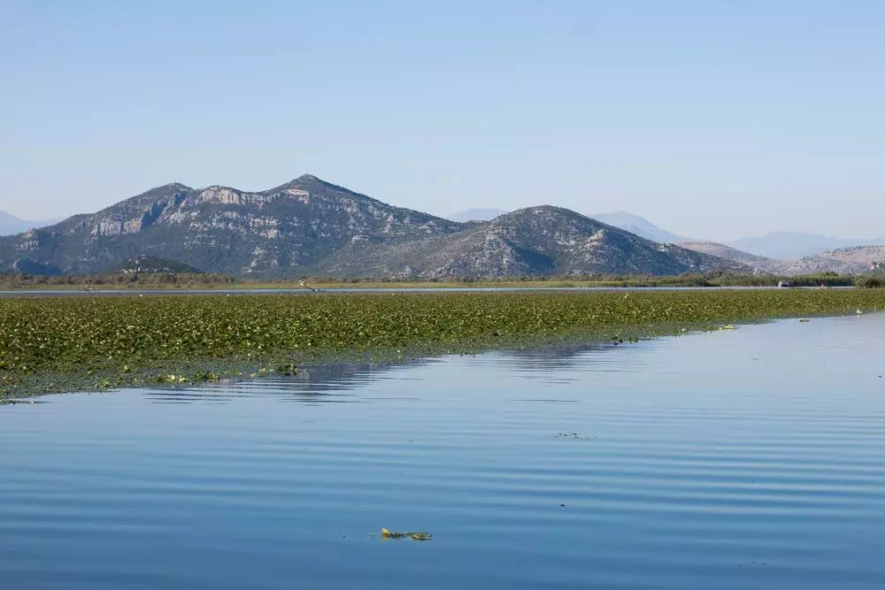 Форт Лесендро