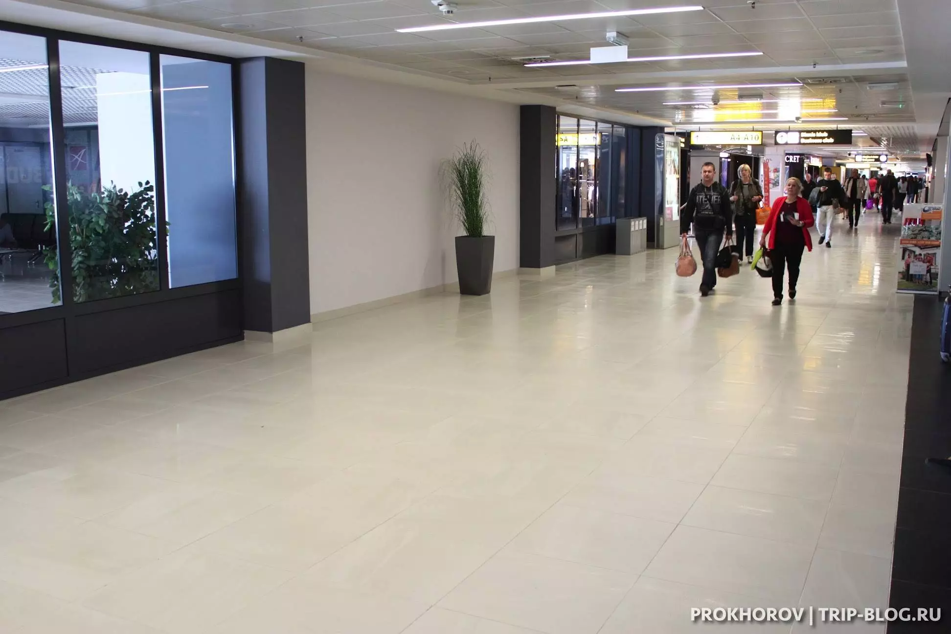 Международный аэропорт Белград имени Николы Теслы