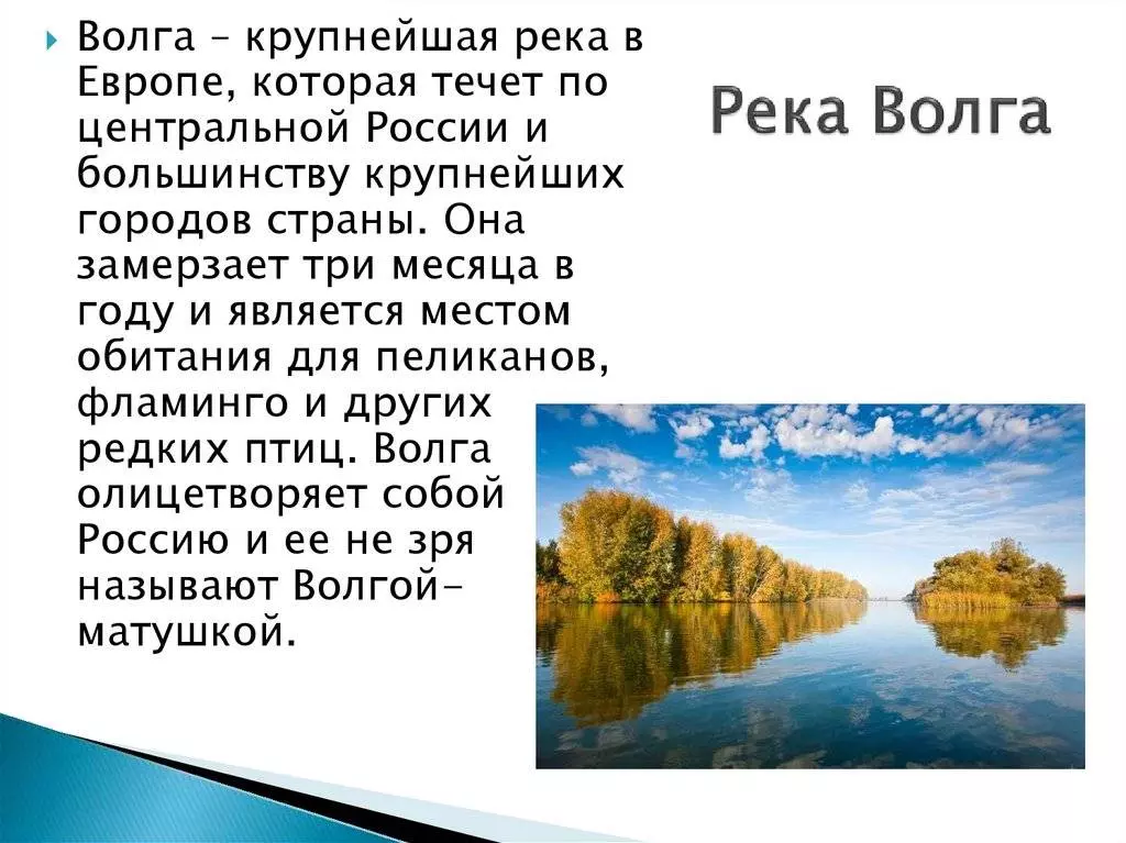 Куда впадает река гусь в гусь хрустальном