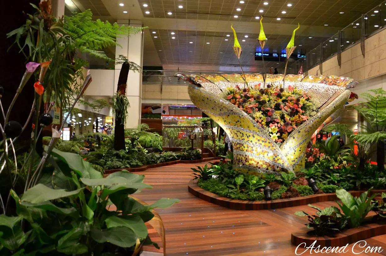 Аэропорт чанги в сингапуре - местонахождение, как добраться