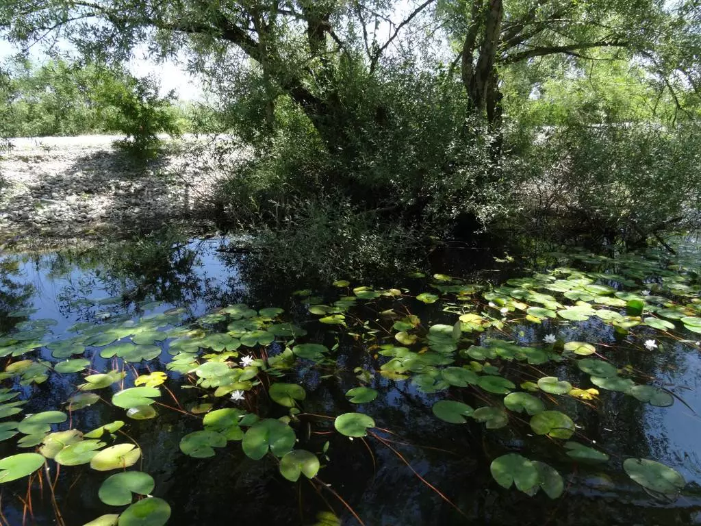 Форт Лесендро