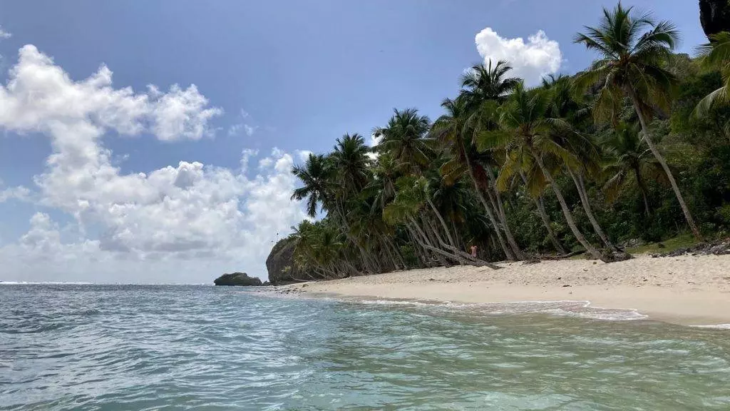 Доминикана открыта для туристов: все новости и условия въезда в 2022 году