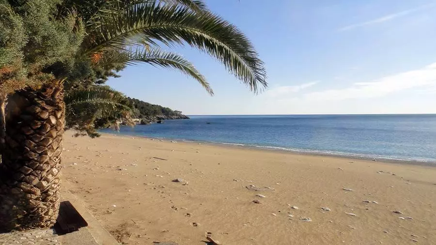 Развлечения в Будве