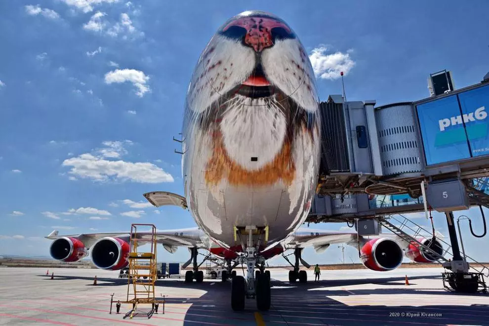 Раскраска самолетов авиакомпаний россии и мира