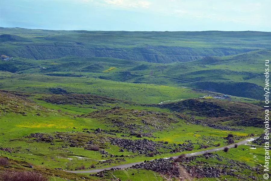 Как добраться из аэропорта Еревана в центр города?