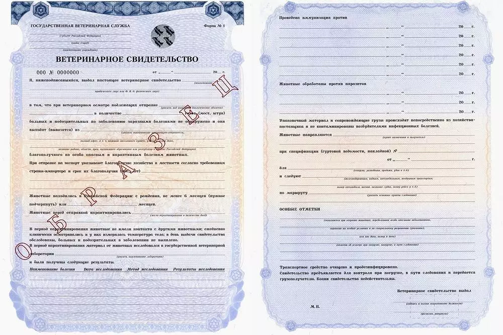 Как выбрать переноску для собак в самолете