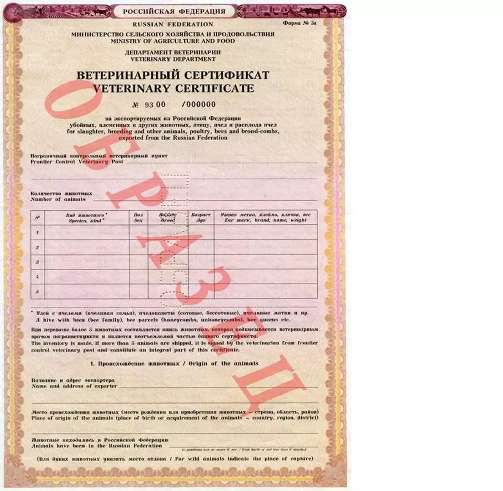 Как выбрать переноску для собак в самолете