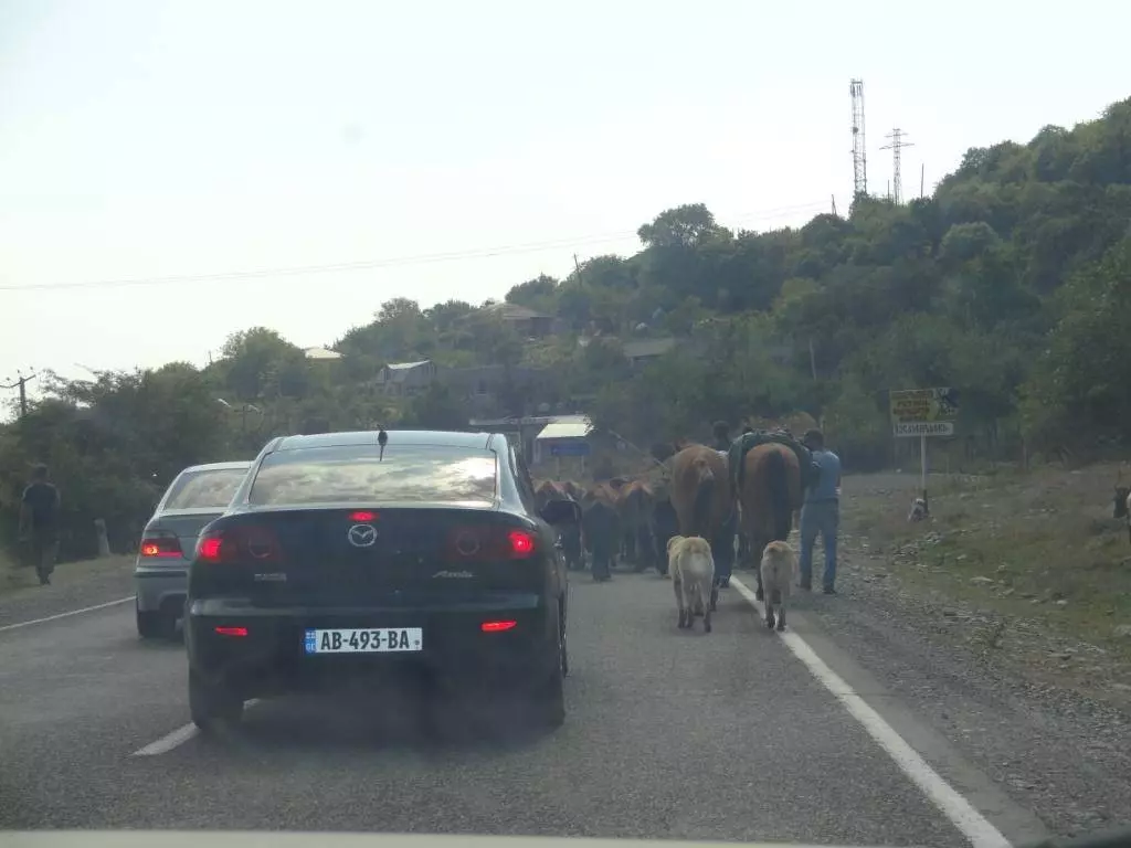 Как добраться из аэропорта Еревана в центр города?