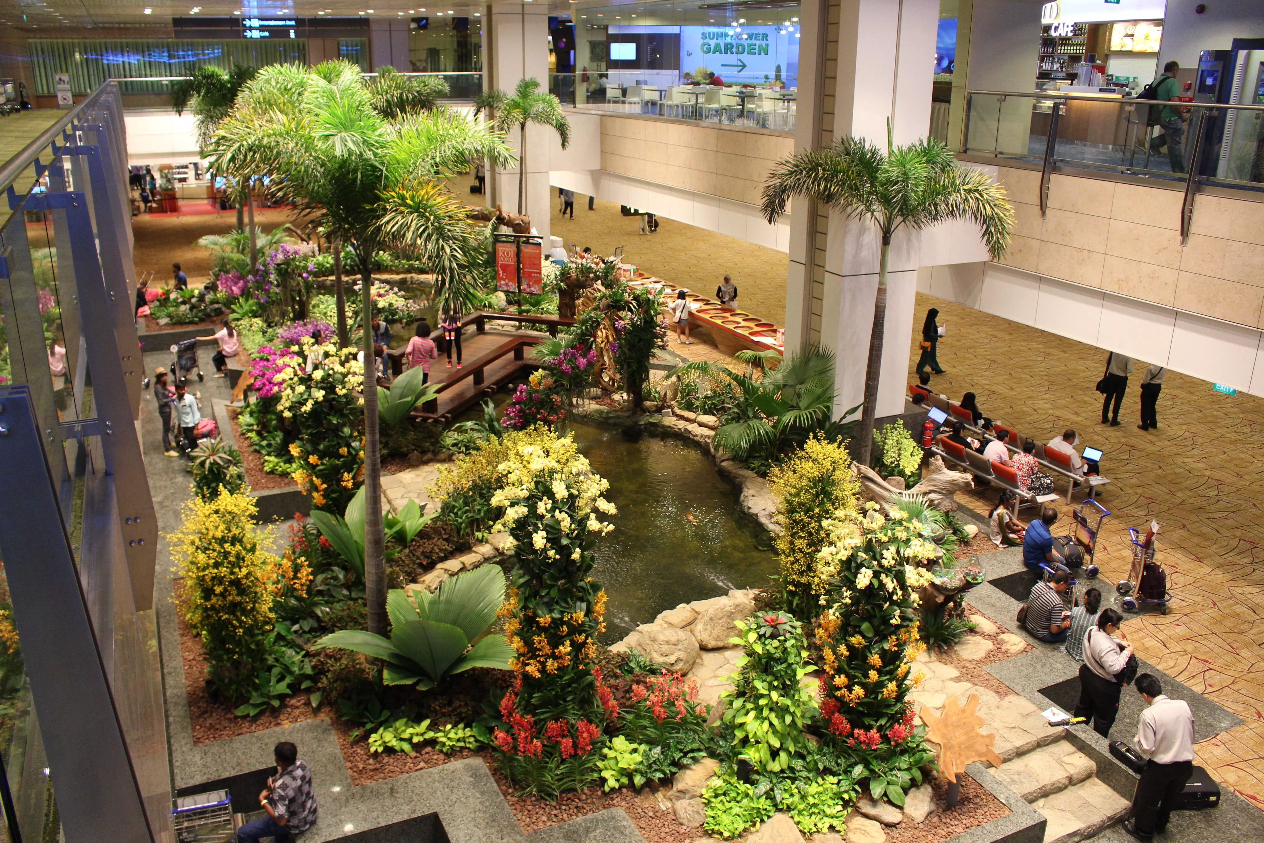 Аэропорт сингапура чанги (singapore changi airport): обзор сингапурского аэропорта, как до него добраться и куда можно улететь, отзывы пассажиров